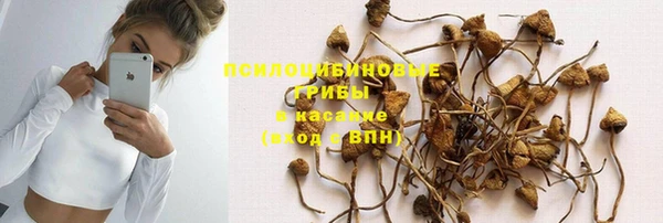 дмт Аркадак