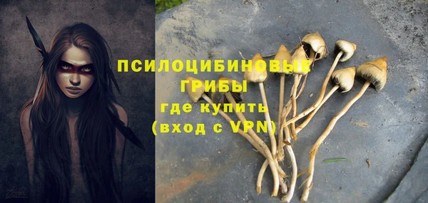 гашиш Кулебаки
